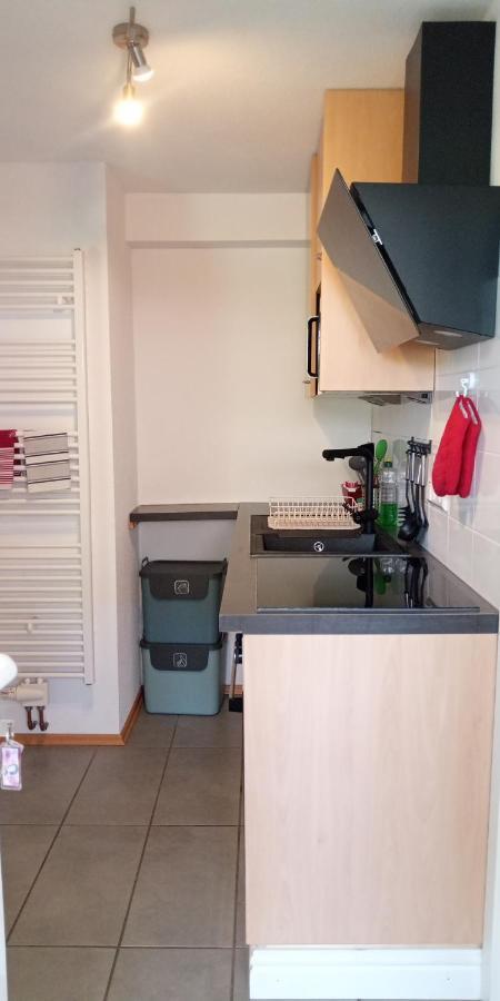 Ferienwohnung In Grenzach エクステリア 写真
