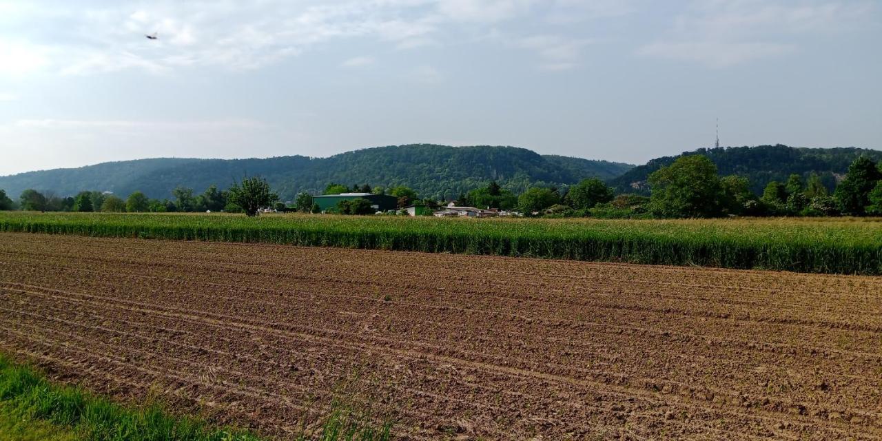 Ferienwohnung In Grenzach エクステリア 写真