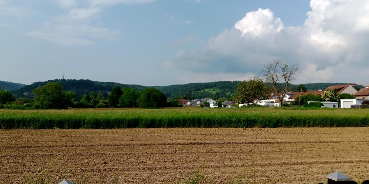 Ferienwohnung In Grenzach エクステリア 写真